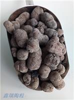 扬州陶粒价格，回填陶粒，陶粒混凝土