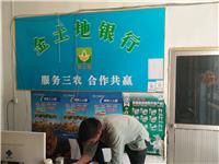 玉米种植，太和县赵庙镇范吉红种植专业合作社