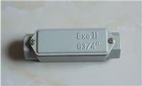 BHC-A-G3/4铝合金直通防爆穿线盒6分