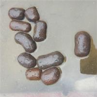 江苏陶粒规格有几种，作用和价格是多少