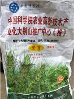 玉米销售，太和县永康种植专业合作社