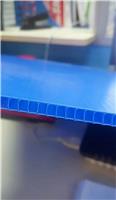 江门中空板钙塑箱订制厂家 供应蓝色5MM中空板价格合理