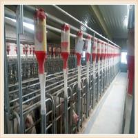 北京兴牧自动化养殖喂料线厂家