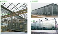 生态餐厅建造 安徽生态餐厅 河南奥农苑温室大棚公司