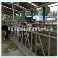 畜牧养殖设备 牛场用牛颈枷 自锁式定位栏牛颈枷