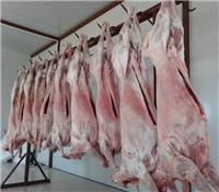 乌兰察布市健康羊肉销售经销部