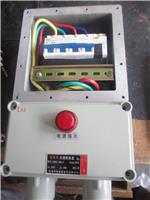 BLK52-100/4PL防爆漏电断路器