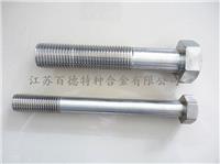 耐蚀合金Nitronic60 S21800 螺栓