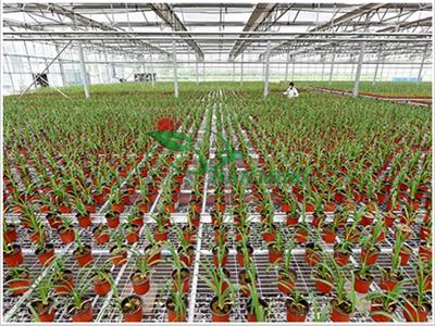 资阳育苗养花温室移动苗床设施 可移动式整体大棚床 花卉活动育苗床
