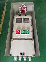 防爆照明动力配电箱BXMD-2K带声光报警器按键操作仪表防爆箱