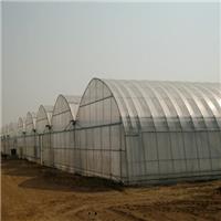玻璃温室建设，豪达瑞科青岛项目热镀锌骨架玻璃连栋温室