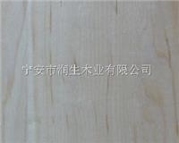枫桦木运动木地板