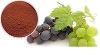 葡萄籽提取物生产厂家 葡萄籽提取物价格