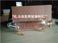 金龙鱼玻璃酒瓶工艺酒瓶鱼形酒瓶