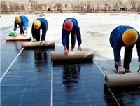 天津和平区专业楼顶防水补漏 铺油毡 房屋维修