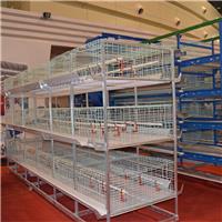 河南中州鸡笼厂 三到四层育雏鸡笼 全国销售