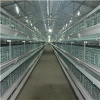 河南鸡笼厂 全自动化鸡笼设备 饲养鸡设备