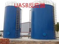 UASB反应器价格 山东*生产销售