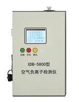 深圳思科大浓度便携式空气负离子检测仪XDB-5800 厂家 价格