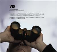 品牌视觉识别系统设计——VIS形象建立、品牌视觉识别系统优化提升
