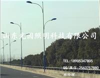 宝剑路灯|led路灯|节能高杆灯100w200w led路灯头