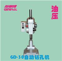 深鑫精密机械GD-30多轴油压钻孔机