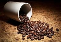 上海哪家公司在代理熟咖啡豆进口报关经验丰富