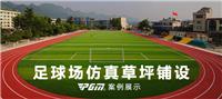 天津足球场人工草坪基础做法与施工