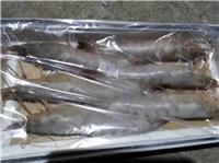 河北海虾价格