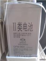 烟台双登蓄电池新品上市 北京宏昌达美科技有限公司