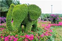 广东深圳植物绿雕大象绿雕景观植物雕塑厂家直销价格合理