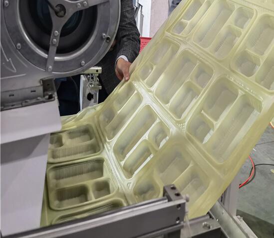 聚乳酸可降解餐盒生产机器设备