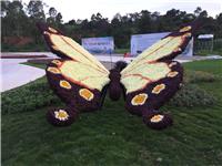 蝴蝶绿雕植物景观雕塑设计制作公园景区造景动物绿雕