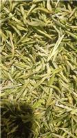 金寨县黄芽茶叶种植找哪家