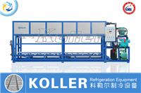 科勒尔DK系列块冰机 食用安全级别 全国供应优选