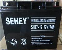 SH40-12西力蓄电池 智能电池成员之一