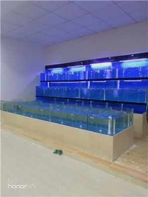 广州新垦海鲜市场定做制冷鱼池，南沙区制冷海鲜玻璃鱼缸做，海水鱼池定做价格