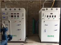瑞泽厂家直销气站用5-1500Nm3/h氮气纯化装置