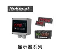 上海颖越光电品牌代理NOKEVAL 显示器 2041-OUT-24V