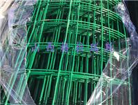 果蔬园艺生态采摘园圈地隔离网，方孔绿色铁丝荷兰网现货厂家直销