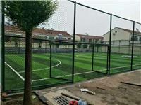 供应绿色浸塑勾花护栏网小区球场防护均可使用草绿墨绿色可定做