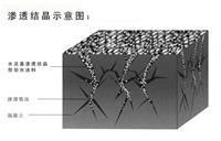 广西隧道如何做防水处理-百色水泥基渗透结晶防水涂料
