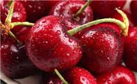 湖北甜樱桃树苗种植，甜樱桃苗价格，甜樱桃树苗批发市场