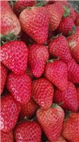 草莓有哪些营养价值