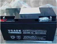 USAOK蓄电池UD38-12工业型电池