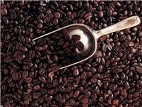 广州咖啡豆进口代理报关公司