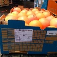 广州江南水果市场大量批发一手货源进口水果南非脐橙供应超市电商水果店餐饮奶茶榨汁等