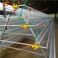 阶梯式种鸡笼蛋鸡笼自动化养鸡设备