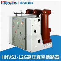 供应辉能电气VS1-12固定固封式户内高压真空断路器10KV高压断路器
