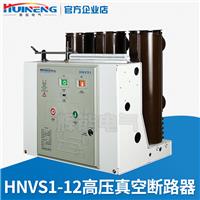 供应辉能电气VS1-12固定式户内高压真空断路器 10KV高压断路器